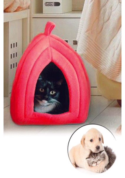 Pet Hut Polar Kedi ve Köpek Yatağı - Kırmızı