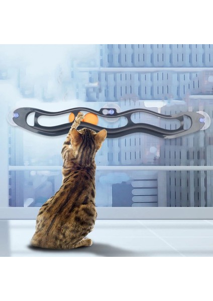 Zampa Iki Toplu Vantuzlu Kedi Oyun Tüneli fiyatları