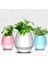 Dekoratif Saksı Mono Bluetooth Speaker 3