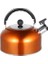 Islık Çay Su Isıtıcısı Pratik Kaynama Çaydanlık Paslanmaz Çelik Çay Kettle | Su Isıtıcılar (Yurt Dışından) 1