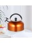 Islık Çay Su Isıtıcısı Pratik Kaynama Çaydanlık Paslanmaz Çelik Çay Kettle | Su Isıtıcılar (Yurt Dışından) 2
