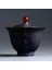 Kung Fu Çay Seti Gaiwan Kupası Kase Jingdezhen Zarif Güzel Çaydanlık Su Isıtıcısı Kahve Fincanı Çin Çay Potu | Pot Çay | Pot Bowlspot Fincan 4