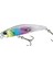 Tetra Works Yurameki DNH0304 Clear Rainbow 1