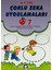 5-7 Yaş Çoklu Zeka Uygulamaları Set 2