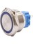 25B-P1Z-E 25MM Düz Anahtarlı Işıklı Metal Buton - Mavi 1