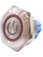 30B-P1Z-EC 30MM Düz Anahtarlı Işıklı Power Metal Buton - Kırmızı 1