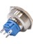 30B-P1Z-EC 30MM Düz Anahtarlı Işıklı Power Metal Buton - Mavi 2