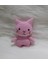 Pembe Miniş Pisi Uyku Arkadaşı Amigurumi Organik Oyuncak 1