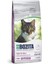 Feline Hair & Skin Tahılsız Yetişkin Kedi Maması 2 kg 1