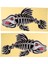 2'li Balık Iskelet Çıkartması Sticker (Yurt Dışından) 2