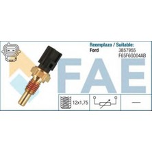 BSG Ford Focus 98-04 Hararet Müşürü