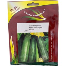Istanbul Tohumculuk Kabak Nazlı Siyah 10 Gr