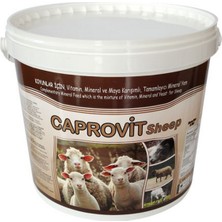 Royal Caprovit Sheep 25 Kg Koyun Kuzu Doğal Verim Artırıcı Yem Katkı