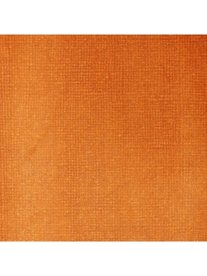 Liquitex  Professional Akrilik Mürekkep  30 ml  Transparent Burnt Sienna 129