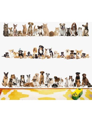 Dez Kedi Köpek Sticker 60*90 cm