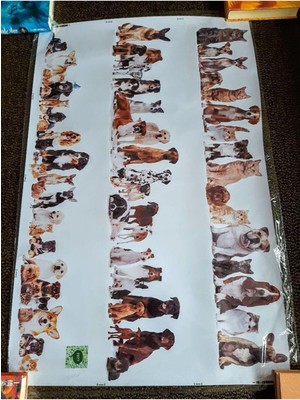 Dez Kedi Köpek Sticker 60*90 cm