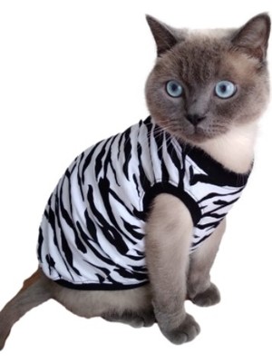 Gobo 5 Adet Zebra Desenli Kedi Köpek Kıyafeti Elbisesi S-Xxl