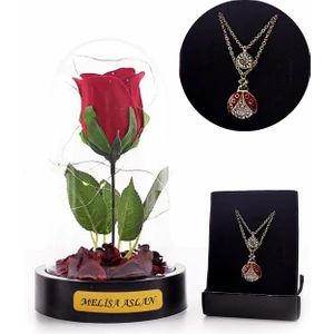 Hediye Filesi Kişiye Özel Fanusta LED Işıklı Kırmızı Gül ve Uğur Böceği Kolye Seti Mika Fanus