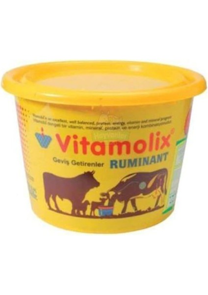 Royal İlaç Vitamolix Ruminant 25 kg Yalama Kovası