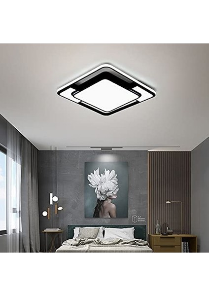 48W Modern LED Tavan Aydınlatması - Siyah (Yurt Dışından)