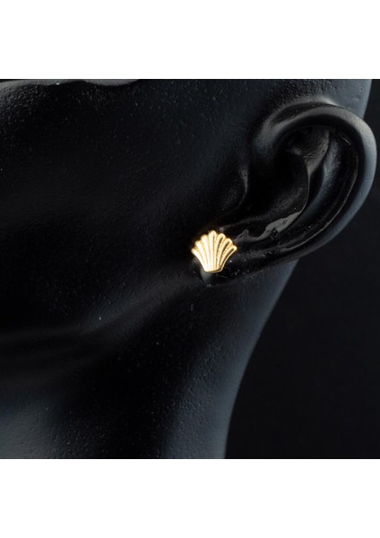 Deniz Kabuğu 22 Ayar Klipsli Küpe fiyatları