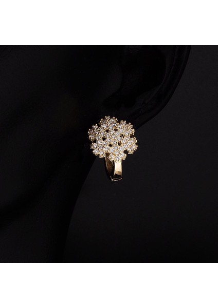 Kartanesi 14 Ayar Altın Küpe fiyatları