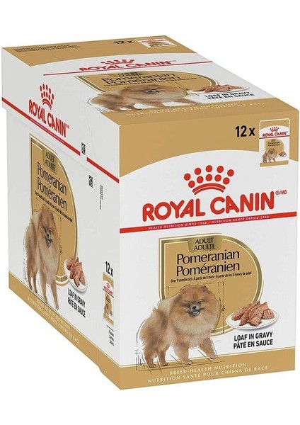 Pomeranian Yetişkin Köpek Yaş Maması 85 gr x 12 Adet