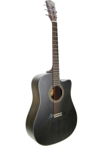 Akustik Gitar Segovıa Ladin SGA486C