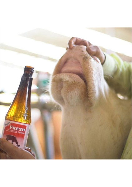ROVITAFRESHLOHUSA500ml fiyatları