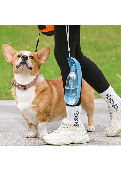 Köpekler Için Su Isıtıcılı Seyahat Su Sebili (Yurt Dışından) fiyatları