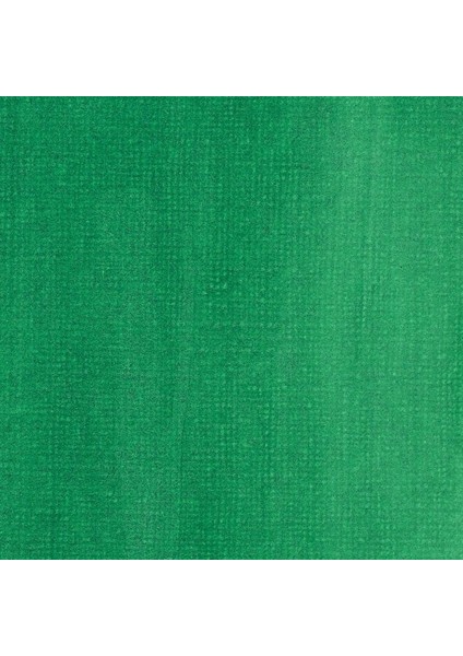 Professional Akrilik Mürekkep 30 ml Phthalocyanine Green Blue Shade 317