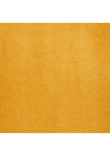Professional Akrilik Mürekkep 30 ml Transparent Raw Sienna 332