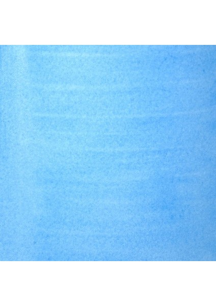 Professional Akrilik Mürekkep 30 ml Fluorescent Blue 984