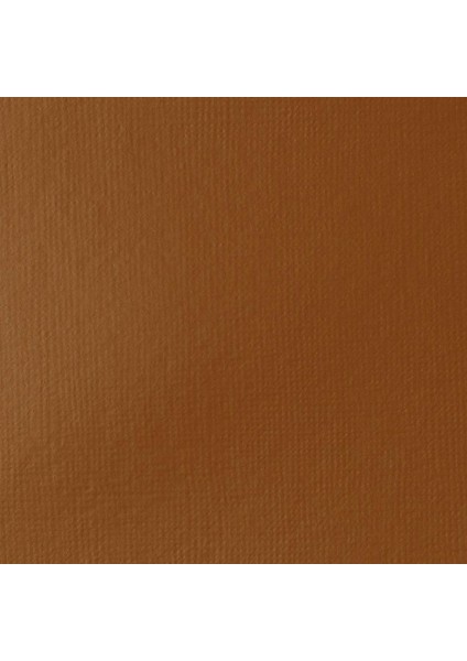 Basics Akrilik Boya 118 ml Raw Sienna 330 fiyatları