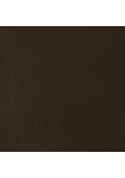 Basics Akrilik Boya 118 ml Raw Umber 331 fiyatları