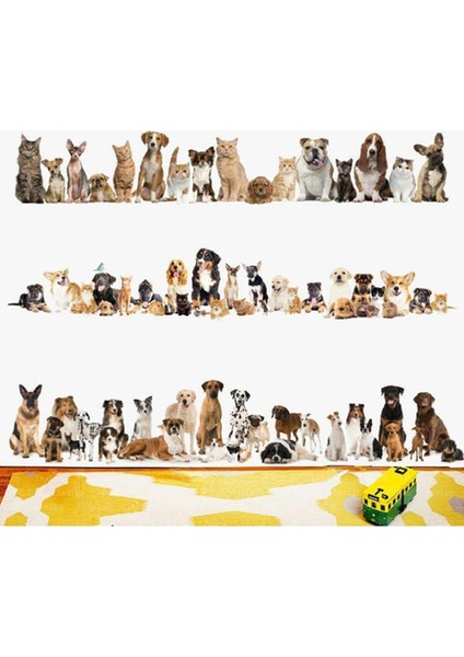 Kedi Köpek Sticker 60*90 cm