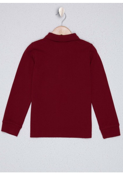 Polo Yaka Düz Kırmızı Erkek Çocuk Sweatshirt fiyatları