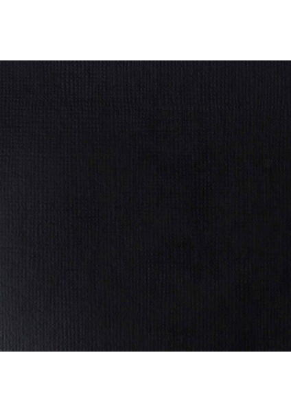 Basics Akrilik Boya 946 ml Mars Black 276