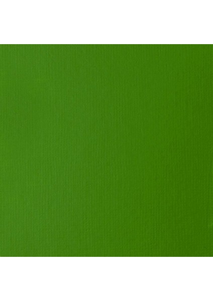 Basics Akrilik Boya 946 ml Light Green Permanent 312