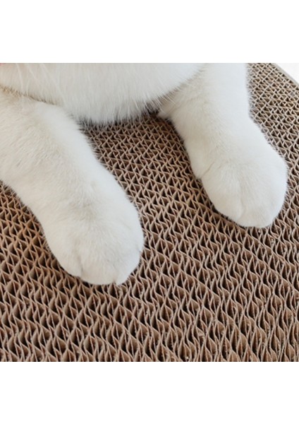 Cat Nest Giyim Dirençli Oluklu Kedi Kırılma Tahtası Kedi Oyuncak Tüneli (Yurt Dışından)
