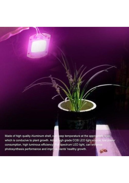 50 W LED Büyümek Işıkları Tam Spektrum LED Cob Kapalı Bitki Bahçe Için Işık Büyümek (Yurt Dışından)