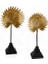 Dekoratif 2'li Rabusto Palmiye 1