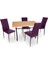 Valerya Werzalit - Gözde Mutfak Masa Takımı (70X120) - Mor 1
