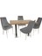 Karanfil Laminat - Stil Masa Takımı - Gri 1