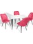 Manolya - Nilüfer Esb Mutfak Masa Takımı - Pembe 1