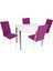 Akasya Gözde Mutfak Masa Takımı (Kumaş) - Mor 1