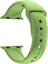 Apple Watch Seri 1 2 3 Için 38 mm Small Beden(S/m Size) Spor Silikon Kordon(54 Farklı Renk) Pastel Yeşil 1