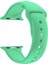 Apple Watch Seri 1 2 3 Için 38 mm Small Beden(S/m Size) Spor Silikon Kordon(54 Farklı Renk) Marine Green 1