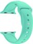 Apple Watch Seri 1 2 3 Için 38 mm Small Beden(S/m Size) Spor Silikon Kordon(54 Farklı Renk) Deniz Yeşili 1