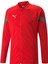 Teamfinal Training Jacket Erkek Futbol Antrenman Ceketi 65737801 Kırmızı 1